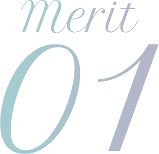 merit01