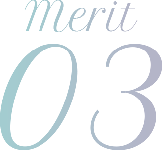 merit03